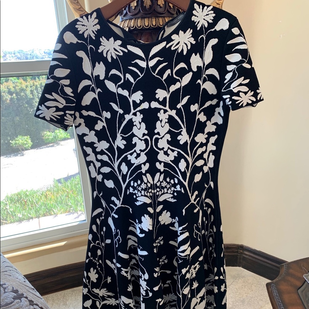 Alexander McQueen Mid Length Dress